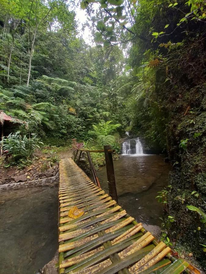 Munduk Tutub Waterfall View Luaran gambar