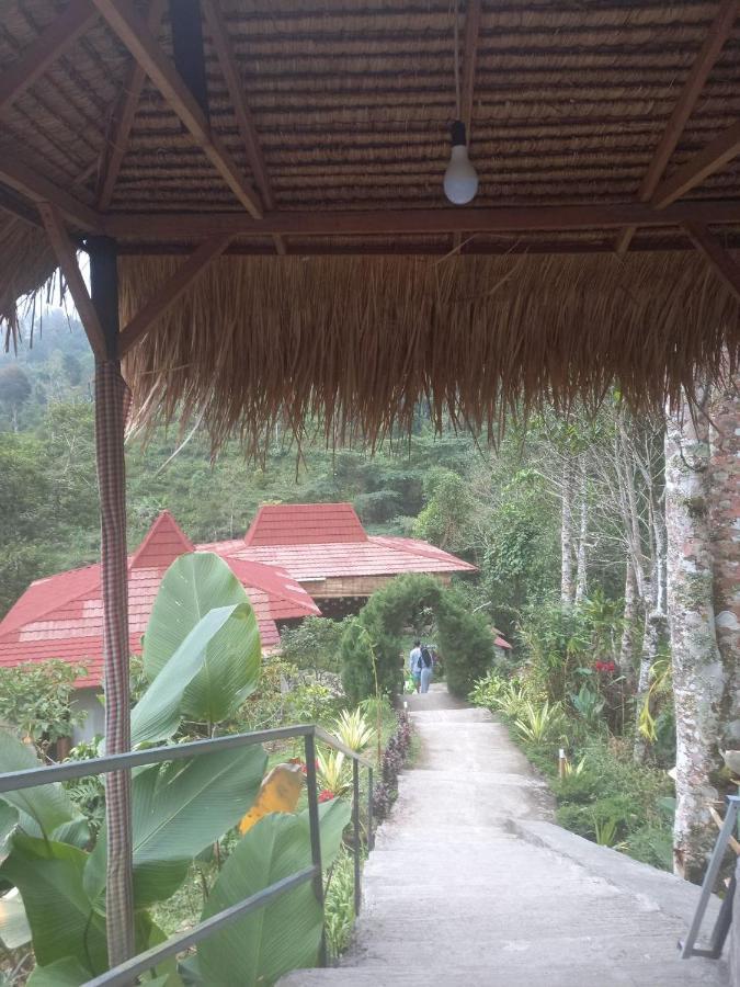 Munduk Tutub Waterfall View Luaran gambar