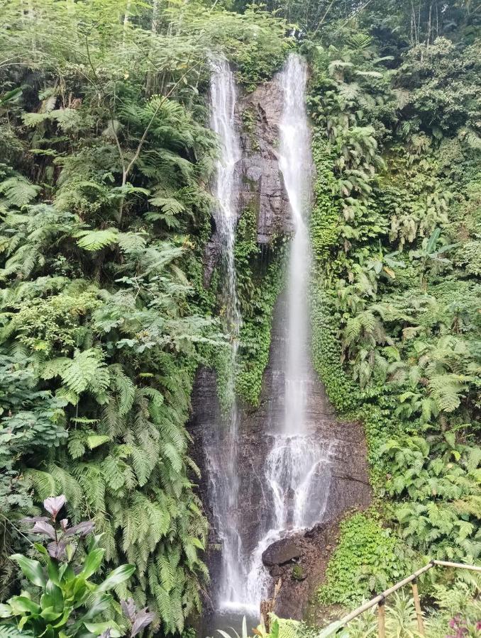 Munduk Tutub Waterfall View Luaran gambar